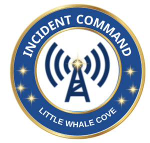 ICS logo 1